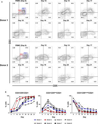 Comparison of Phenotypic and Functional Characteristics Between Canine Non-B, Non-T Natural Killer Lymphocytes and CD3+CD5dimCD21− Cytotoxic Large Granular Lymphocytes